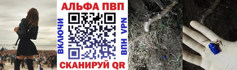 A-PVP СК Салават