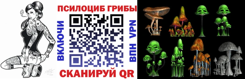 Псилоцибиновые грибы Magic Shrooms  Купить где  Салават 