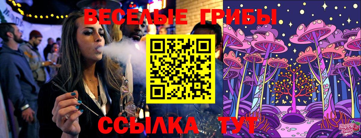 Салават  Псилоцибиновые грибы Psilocybe  Вход с VPN  Галлюциногенные грибы прущие грибы 