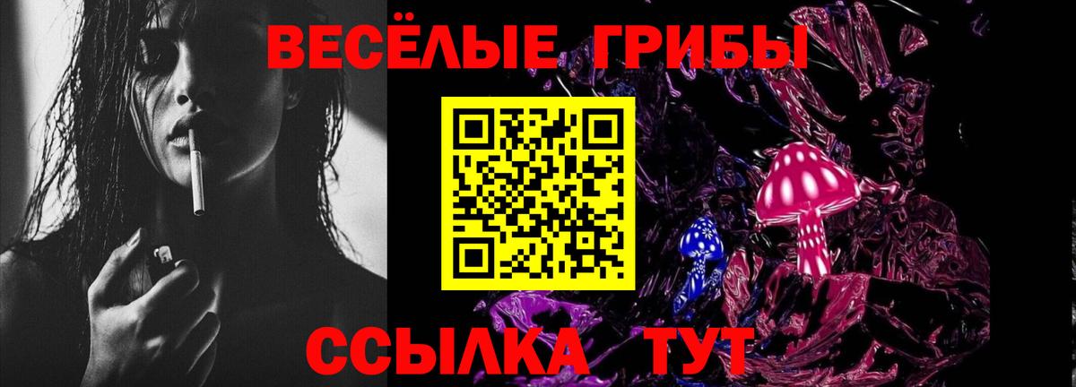 Псилоцибиновые грибы ЛСД  Псилоцибиновые грибы ЛСД  Салават 